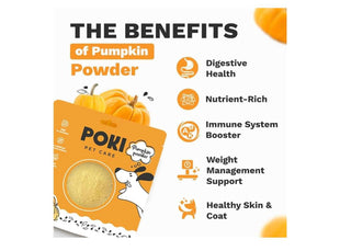 Pumpkin Powder 200g