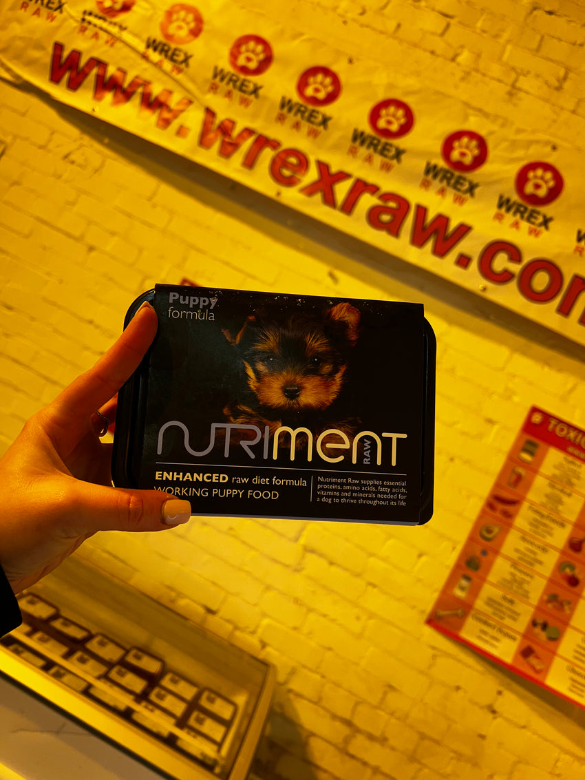 Nutriment Puppy Food